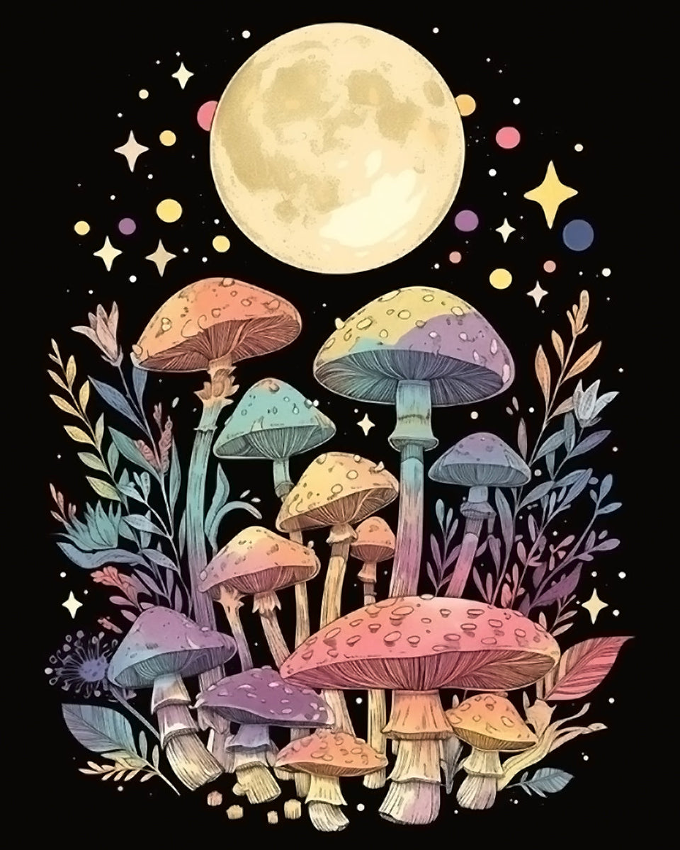 Pousse Des Champignons Et La Lune
