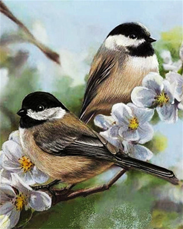 Oiseau Peintures Par Numéros PBNBIRDL024