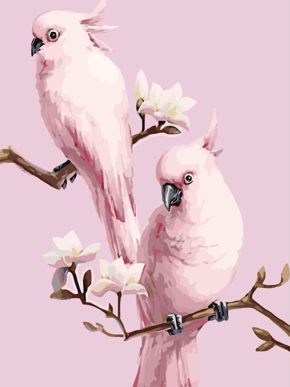 Oiseau Peintures Par Numéros PBNBIRDL026