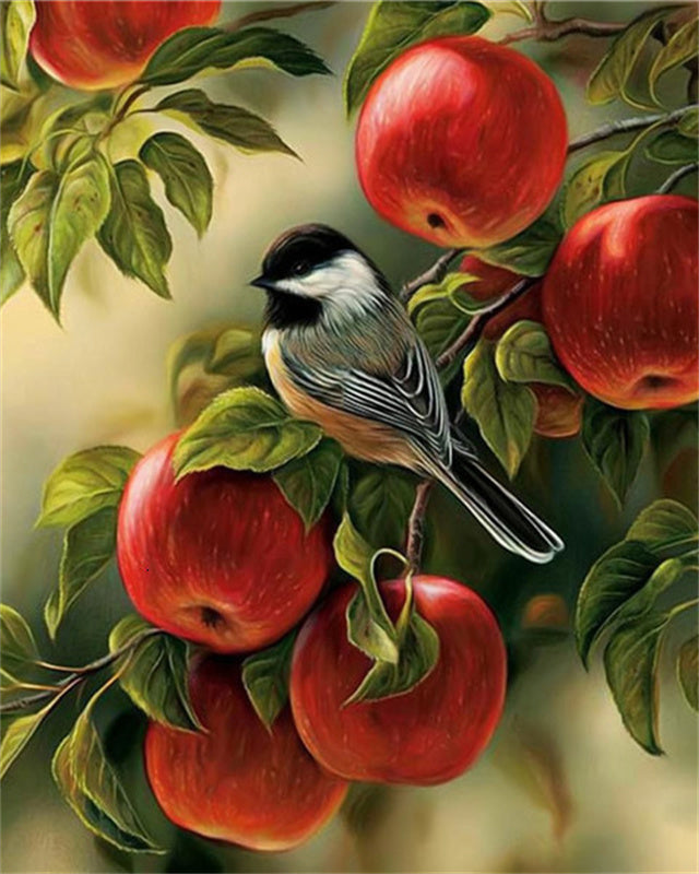 Oiseau Peintures Par Numéros PBNBIRDL033