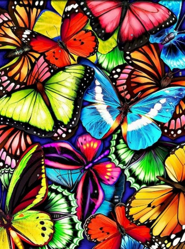Papillon Peintures Par Numéros PBNBUTL010