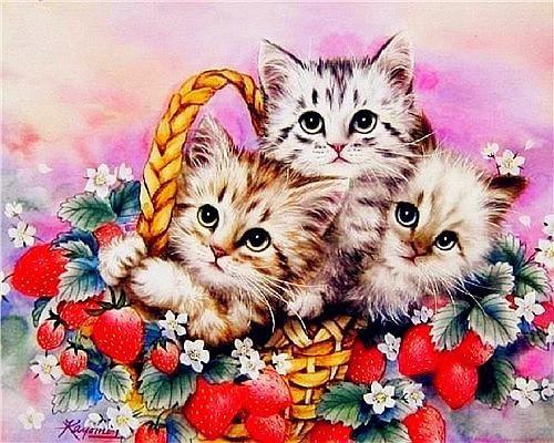 Animal Cat Paint By Numbers Canvas Wall Set PBNCATW27