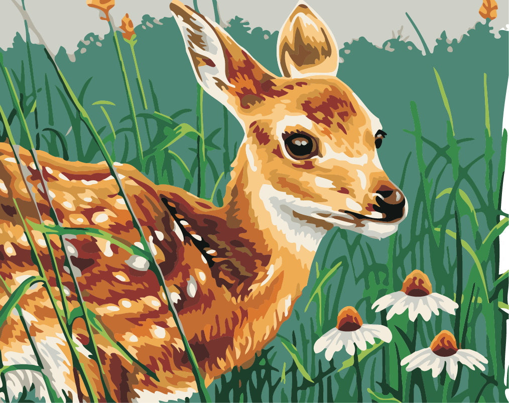Animal Cerf Peintures Par Numéros PBNDEERW29