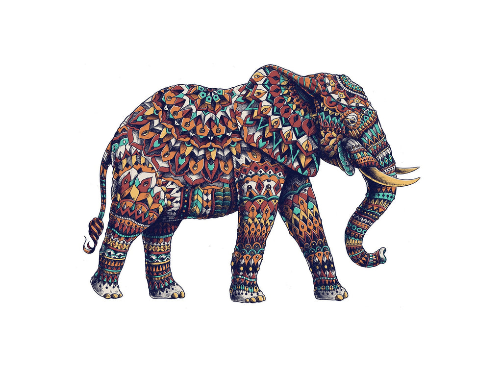 Animal Éléphant Peintures Par Numéros PBNELEW15