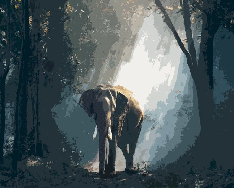 Animal Éléphant Peintures Par Numéros PBNELEW34