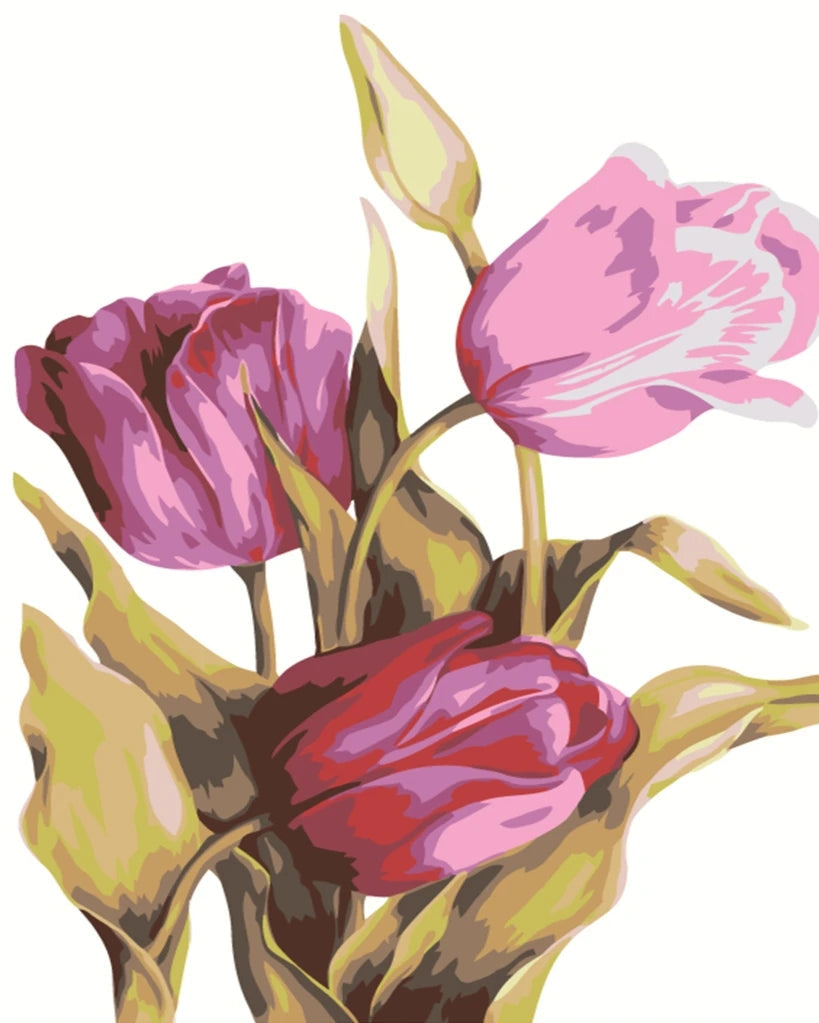 Tulipe Fleur Peintures Par Numéros PBNFLOL145