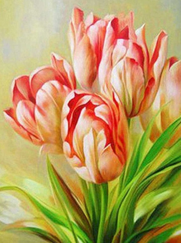 Tulipe Fleur Peintures Par Numéros PBNFLOL221