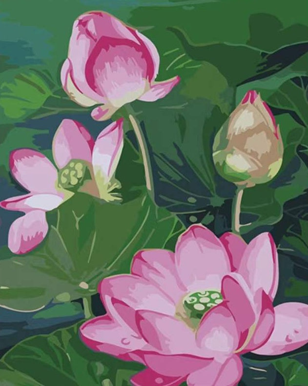 Lotus Fleur Peintures Par Numéros PBNFLOL431