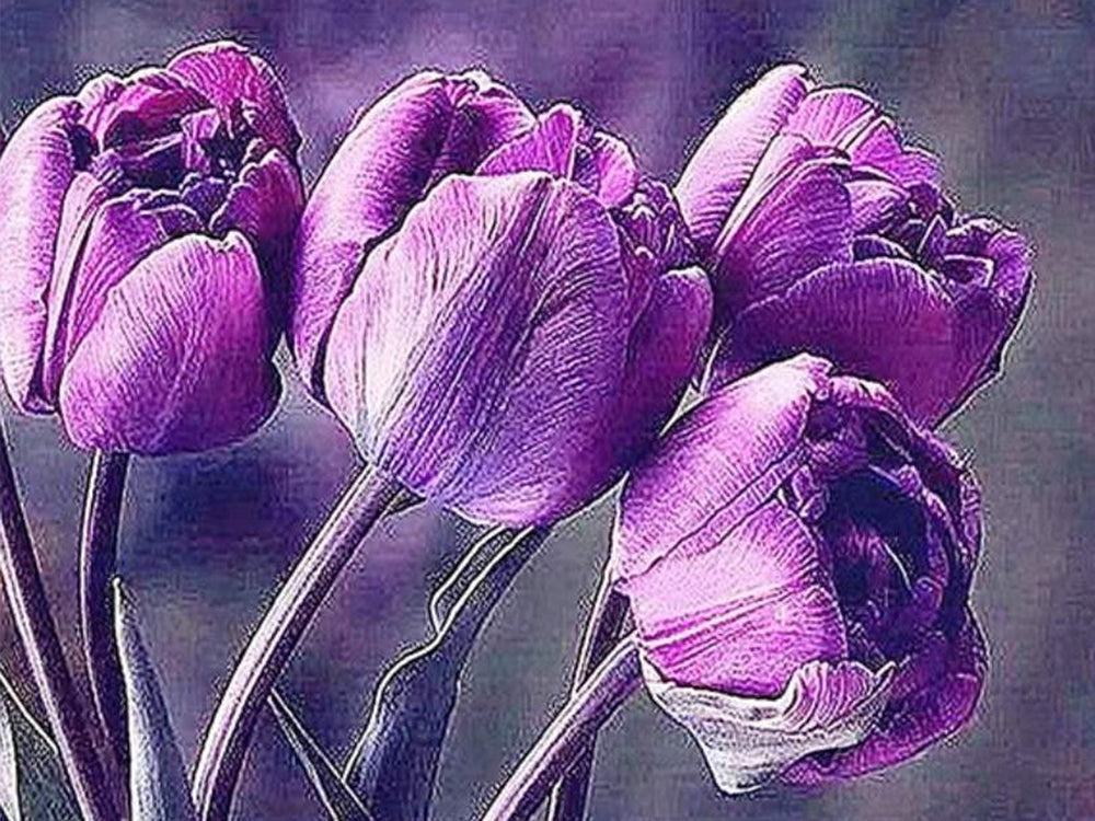 Tulipe Fleur Peintures Par Numéros PBNFLOW308