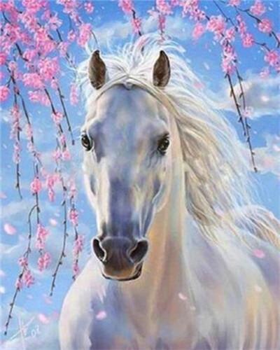Animal Horse Paint By Numbers Canvas Wall Set PBNHOUL53