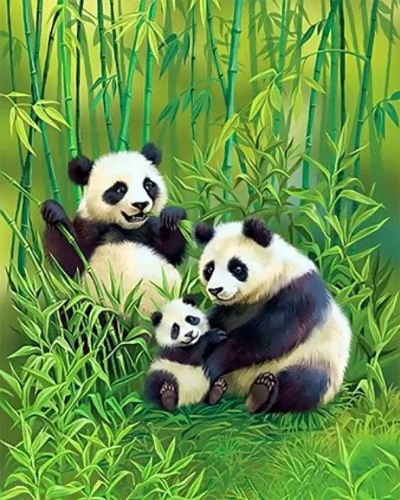 Animal Panda Peintures Par Numéros PBNPANL30