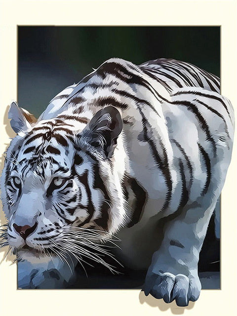 Animal Tigre Peintures Par Numéros PBNTIGL18