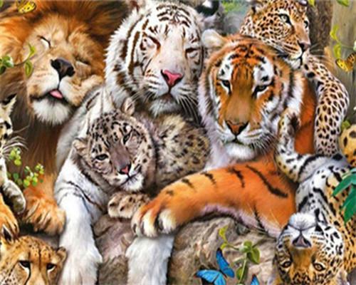 Animal Tiger Paint By Numbers Canvas Wall Set PBNTIGW23