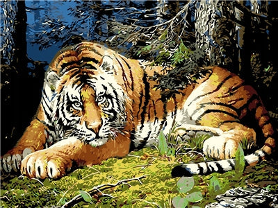 Animal Tigre Peintures Par Numéros PBNTIGW32