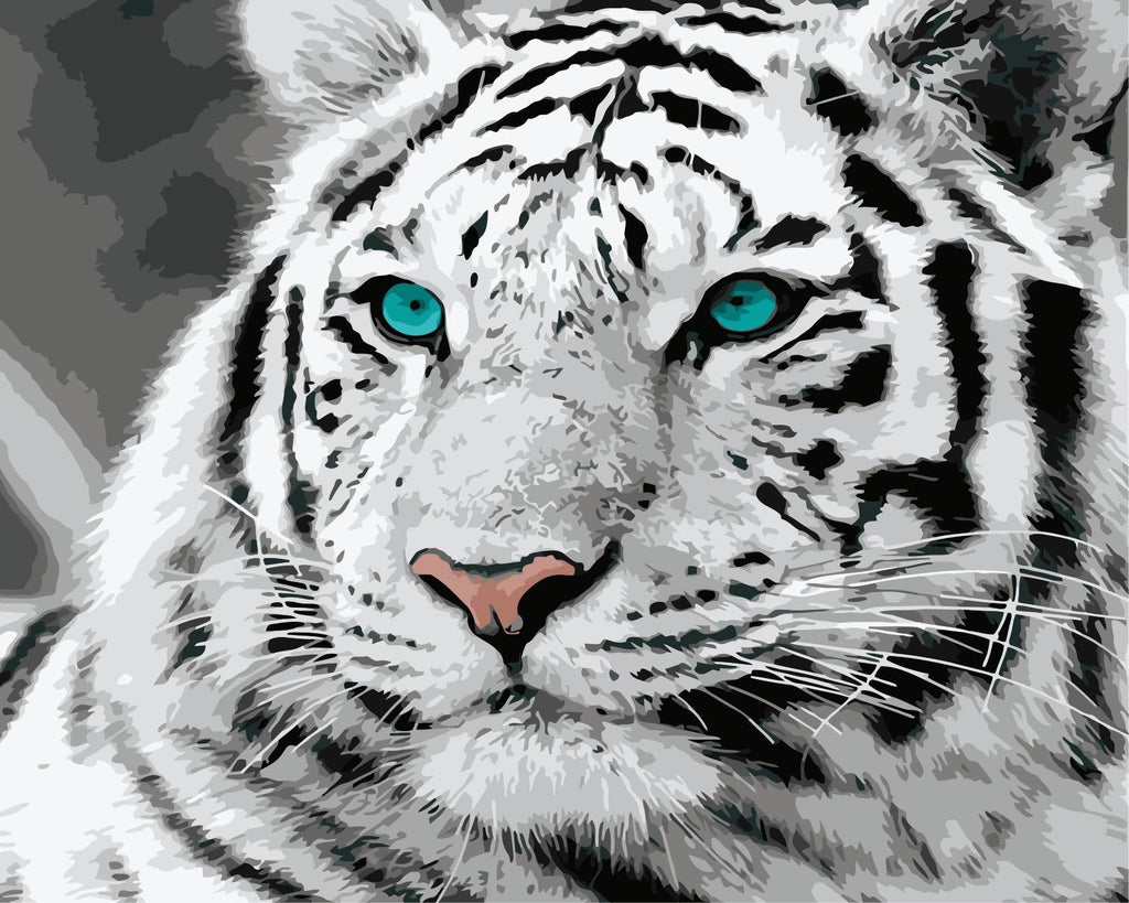 Animal Tigre Peintures Par Numéros PBNTIGW38