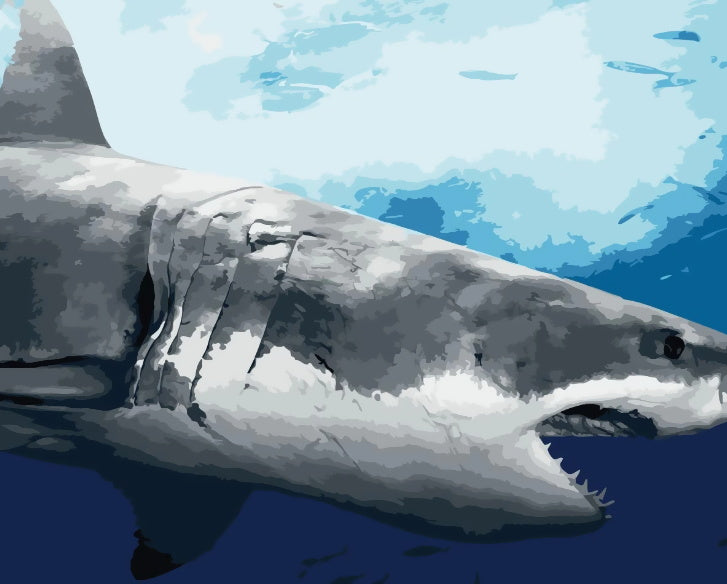Maritime Requin Baleine Peintures Par Numéros PBNWHAW007