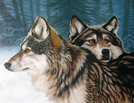 Animal Loup Peintures Par Numéros  PBNWOLFW37