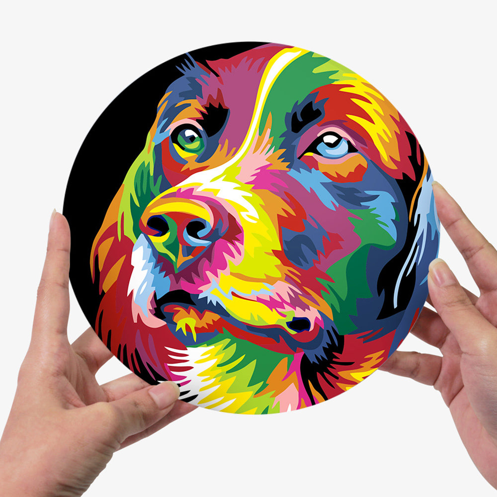 6 Pièces Sets de Table Animaux Colorés Peinture par Numéros