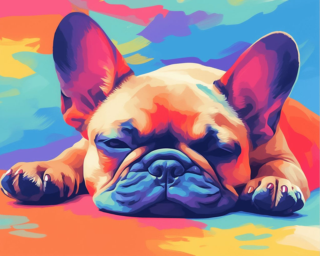 Bouledogue Français Coloré Couché par Terre Peinture par Numéros
