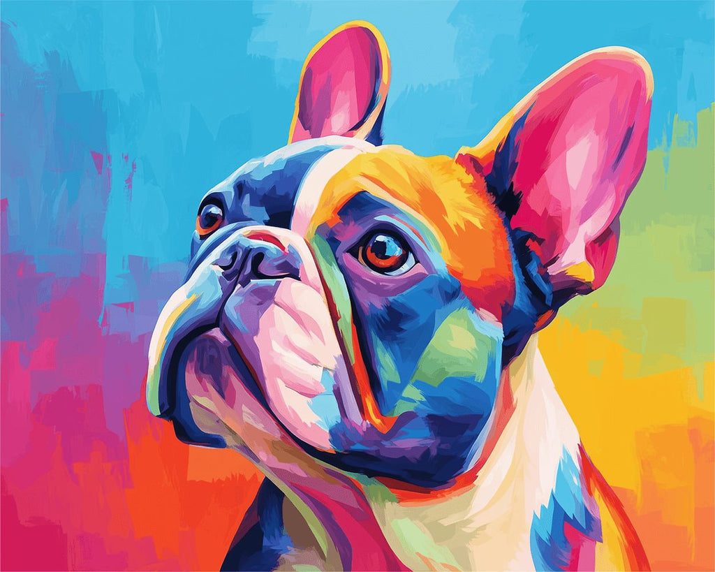 Bouledogue Français Coloré Peinture par Numéros