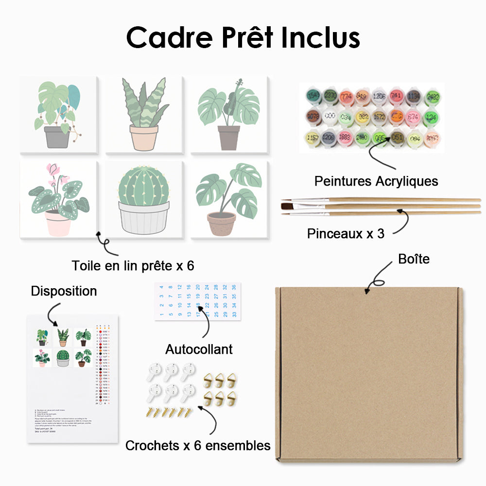 Cactus et Plantes Vertes en Pot 6 Mini Peintures par Numéros