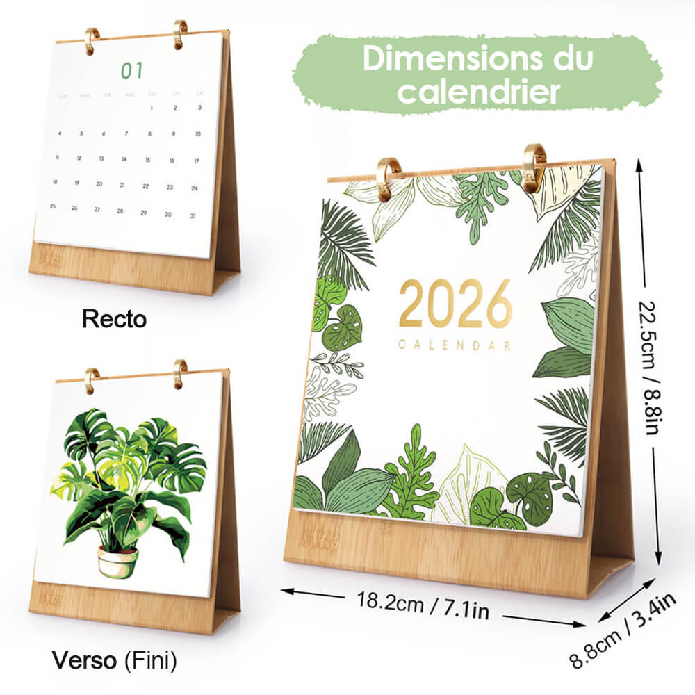 Calendrier de Bureau 2026 Peinture par Numéros | Plantes en Pot Vertes