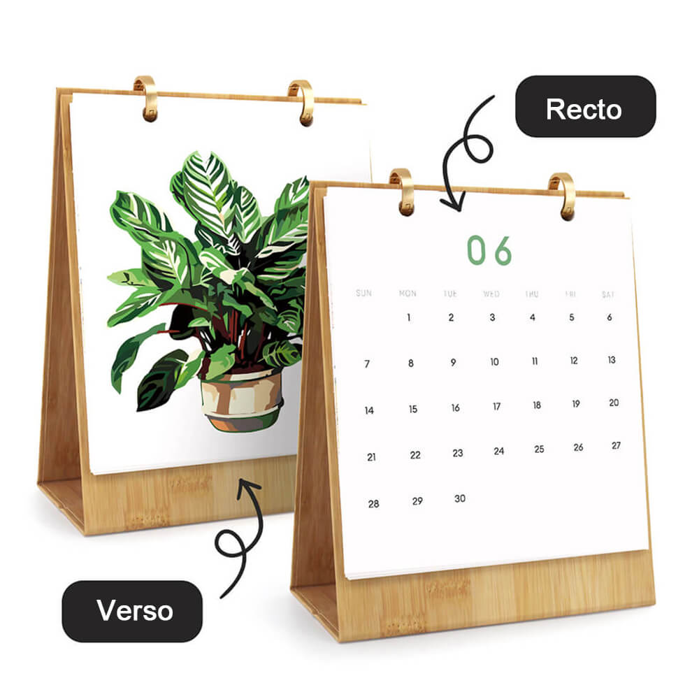 Calendrier de Bureau 2026 Peinture par Numéros | Plantes en Pot Vertes