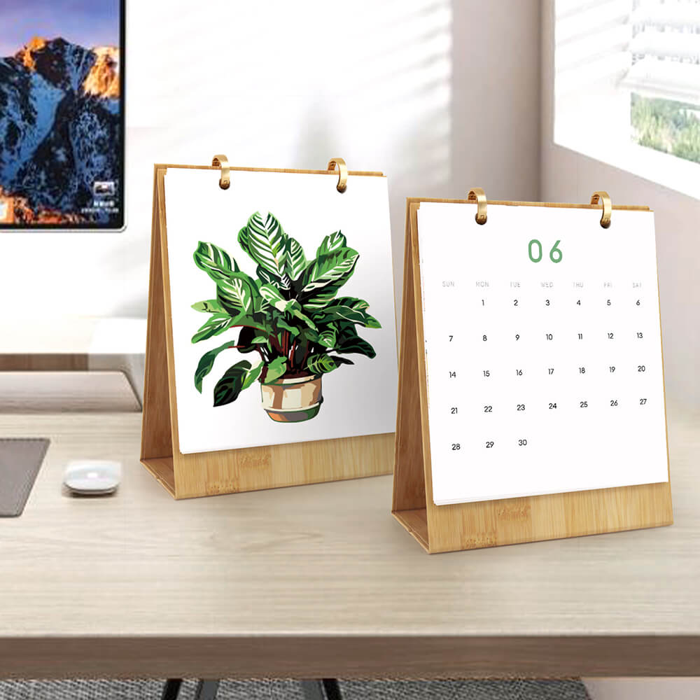 Calendrier de Bureau 2026 Peinture par Numéros | Plantes en Pot Vertes