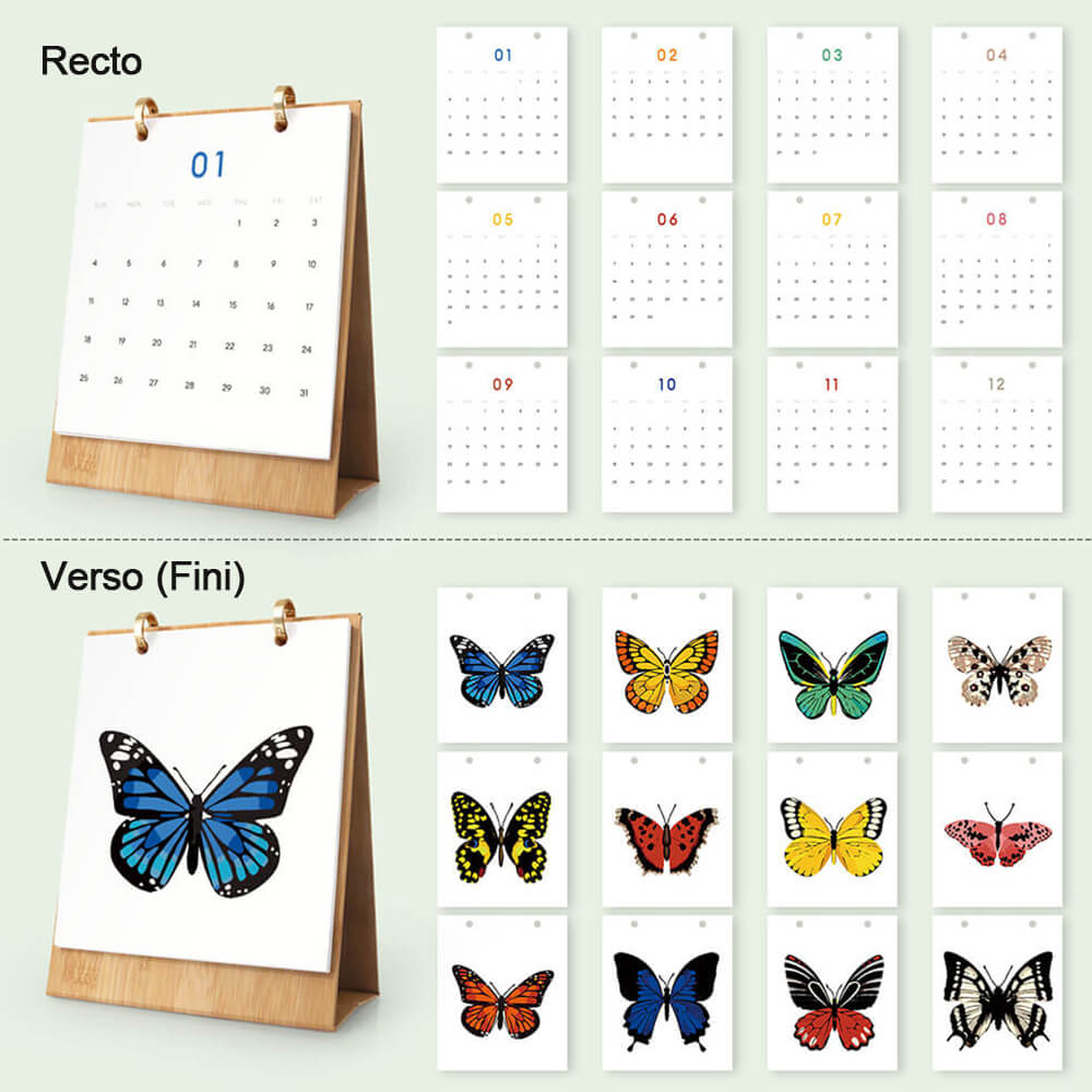 Calendrier de Bureau 2026 Peinture par Numéros | Spécimens de Papillons Colorés