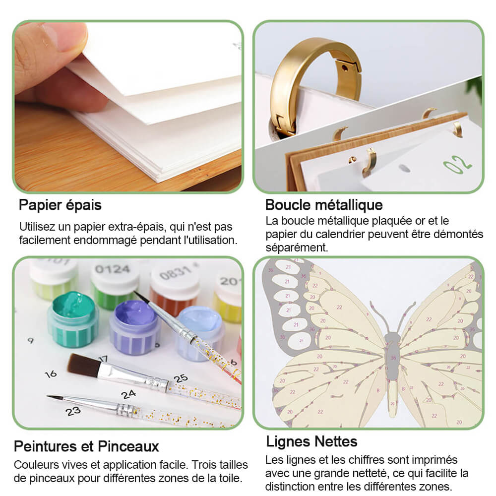 Calendrier de Bureau 2026 Peinture par Numéros | Spécimens de Papillons Colorés