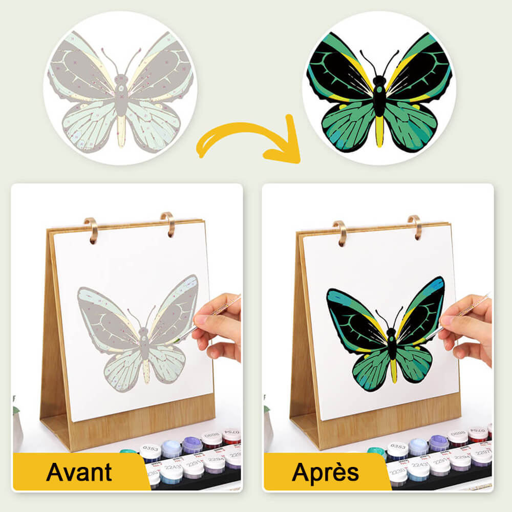Calendrier de Bureau 2026 Peinture par Numéros | Spécimens de Papillons Colorés
