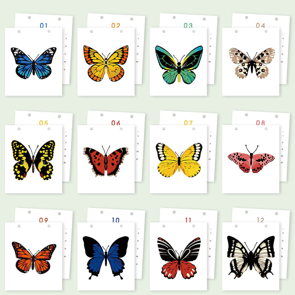 Calendrier de Bureau 2026 Peinture par Numéros | Spécimens de Papillons Colorés