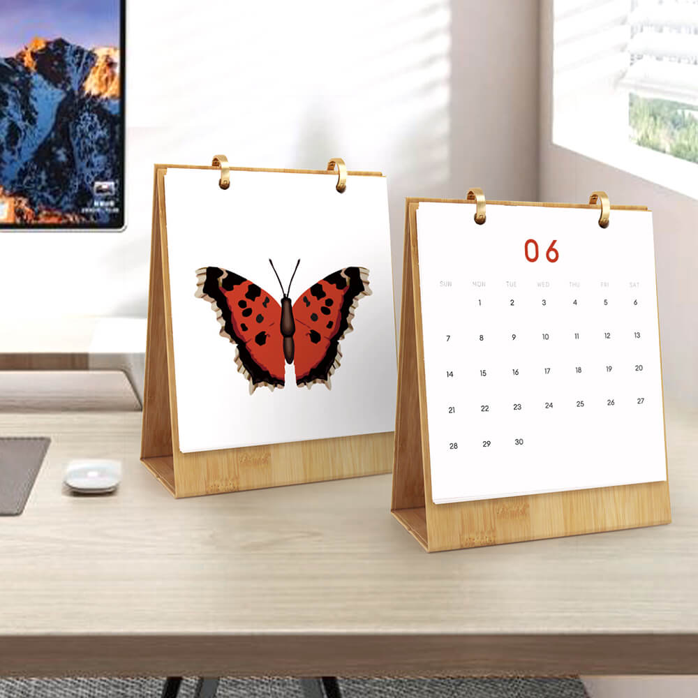 Calendrier de Bureau 2026 Peinture par Numéros | Spécimens de Papillons Colorés