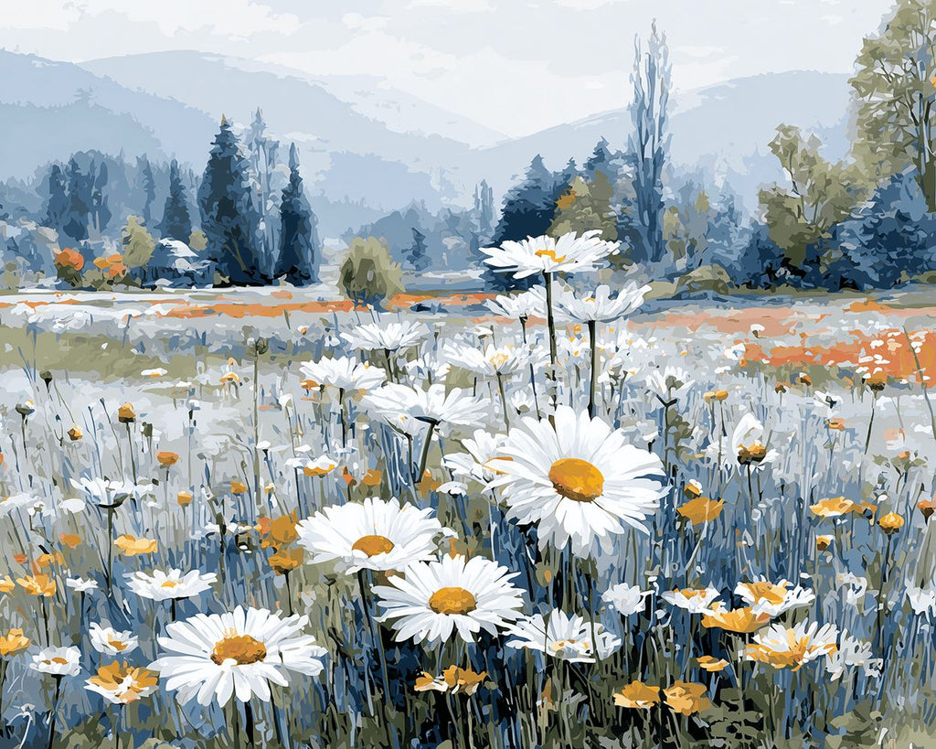 Champ de Marguerites Blanches à l’État Sauvage Peinture par Numéros