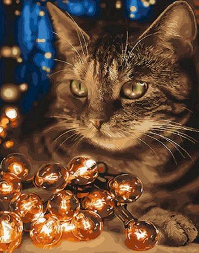 Chat Cool Peinture par Numéros