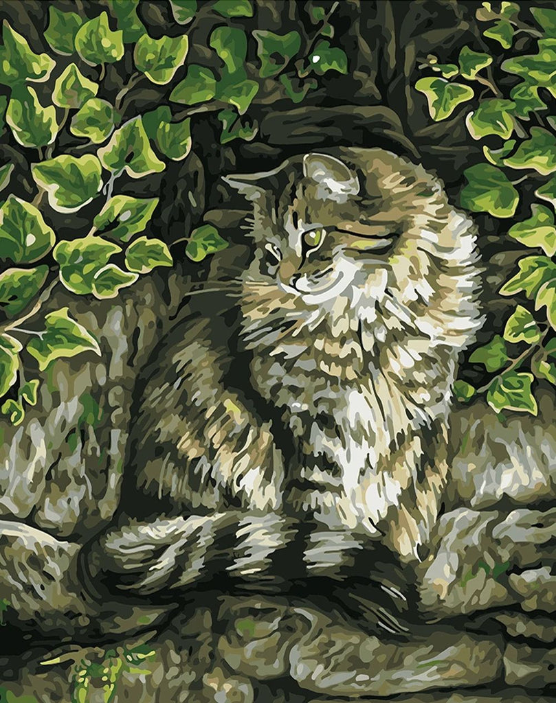 Chat Maine et Plantes Vertes Peinture par Numéros