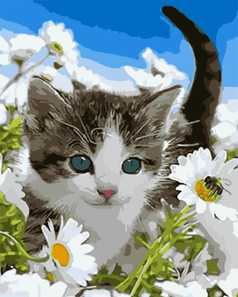 Chaton et Marguerites Peinture par Numéros