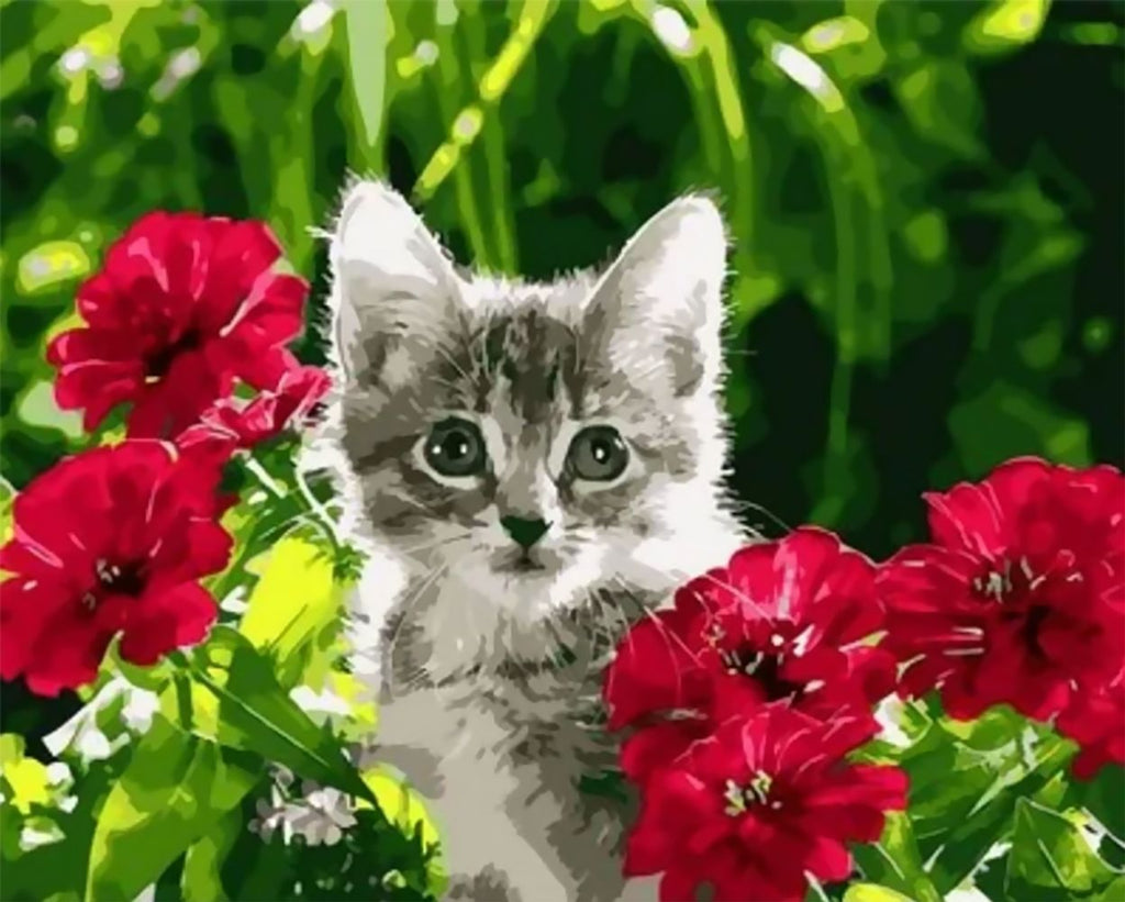 Chaton Gris et Fleurs Rouges Peinture par Numéros