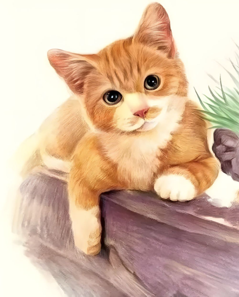 Chaton Roux Peinture par Numéros