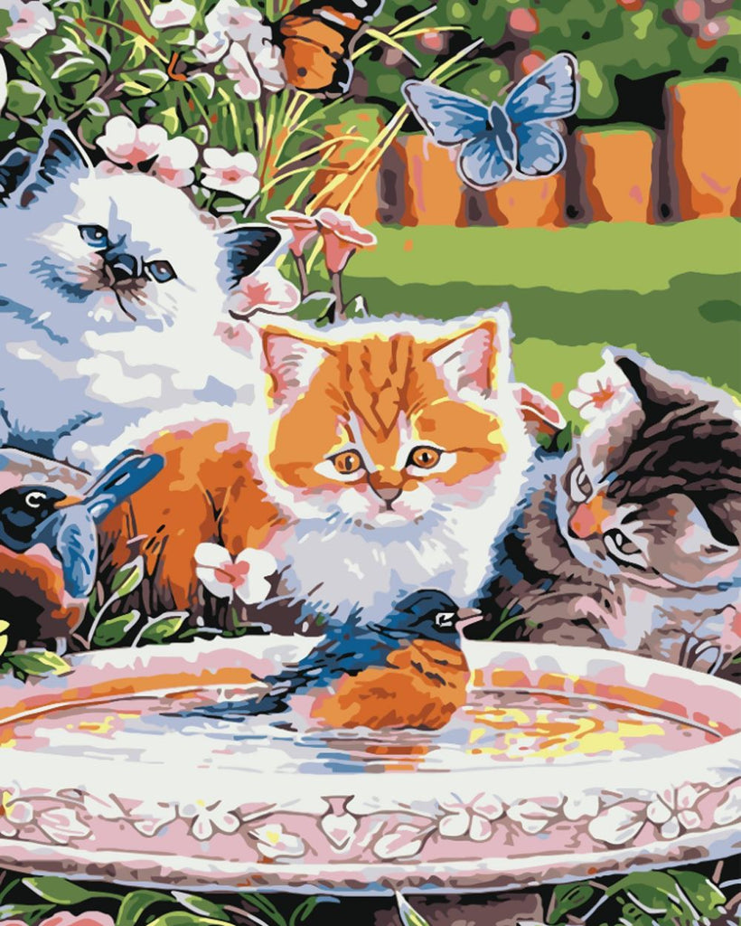 Chatons Regardant l'Oiseau Peinture par Numéros