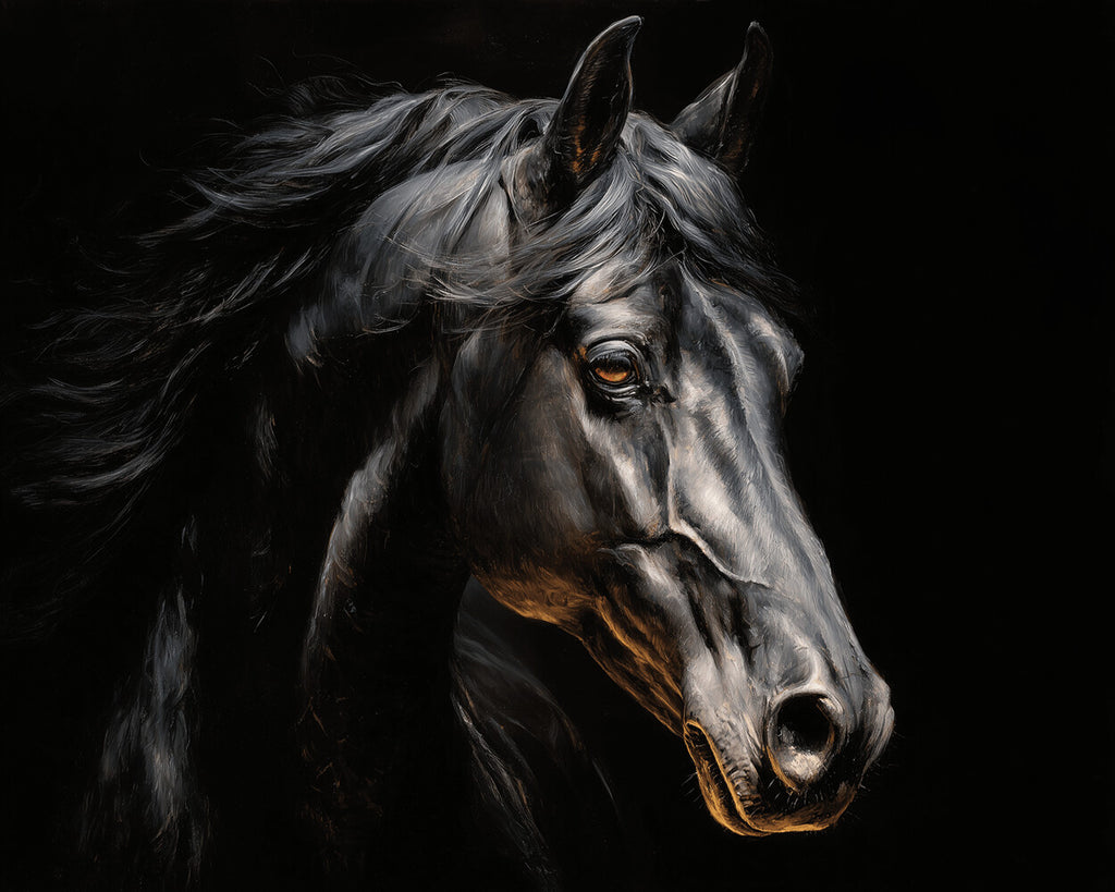 Cheval Noir dans l’Obscurité Peinture par Numéros