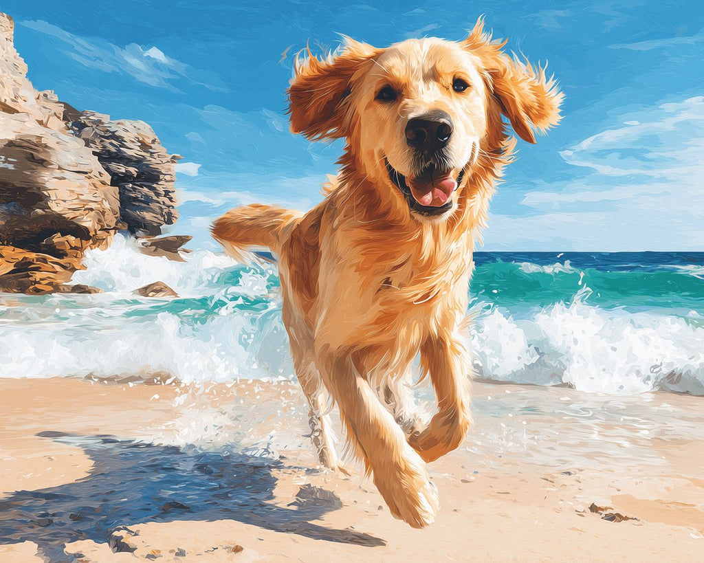 Golden Retriever Courant Heureusement au Bord de la Mer Peinture par Numéros