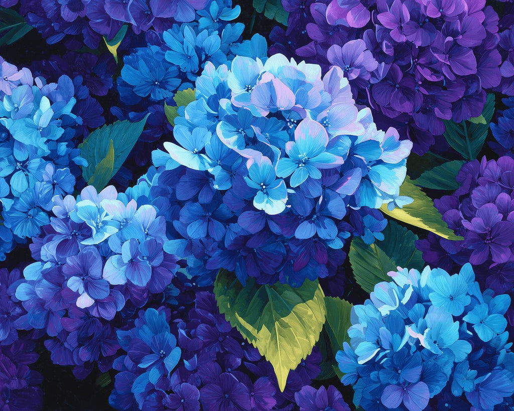 Hortensias Bleu-Violet Dodus Peinture par Numéros