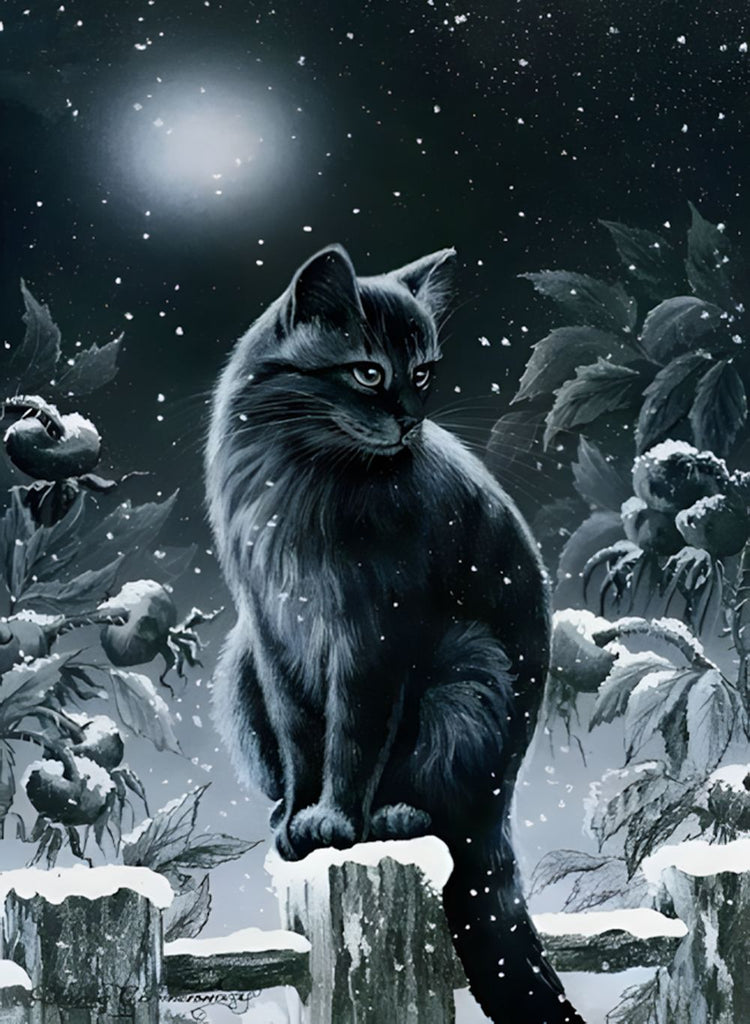 Joli Chat Noir dans la Nuit de Neige Peinture par Numéros