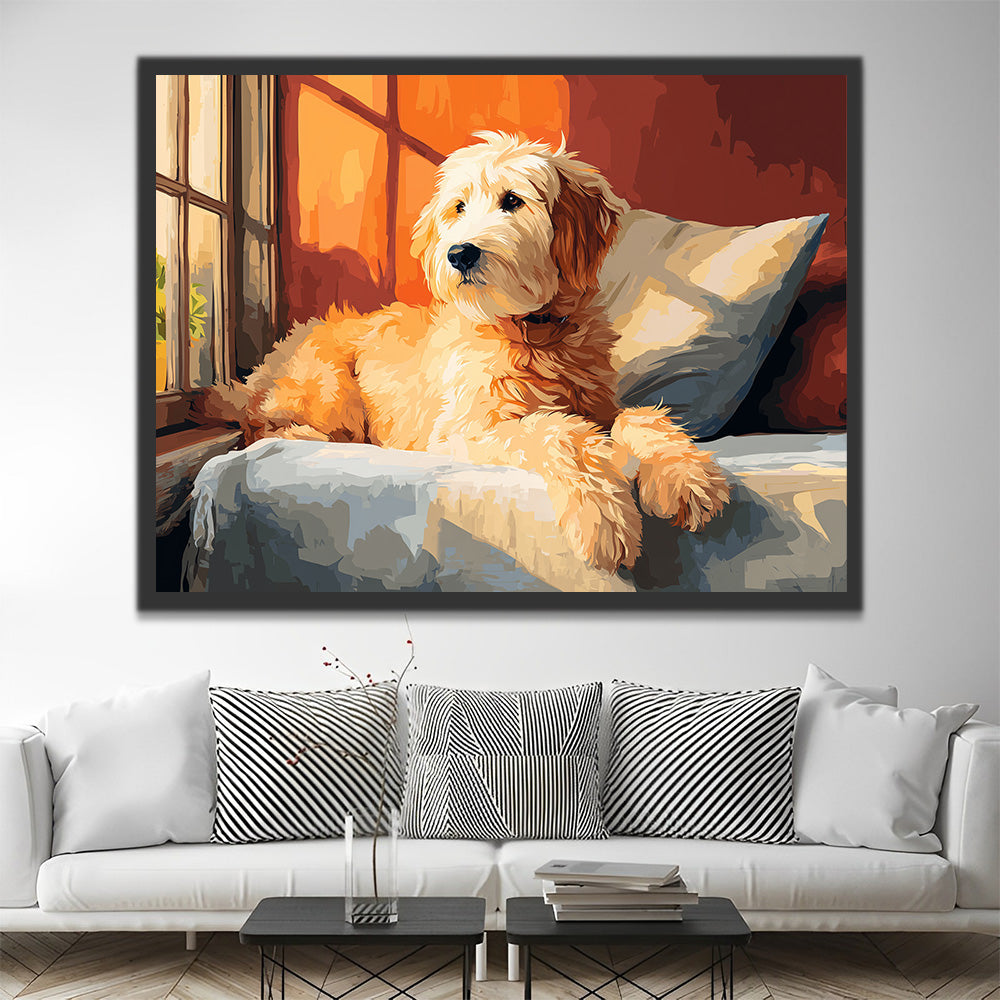 Labradoodle Regardant par la Fenêtre Peinture par Numéros