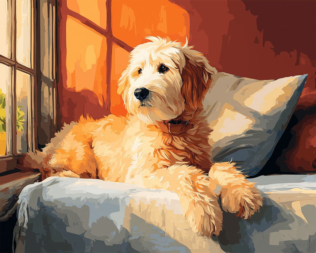 Labradoodle Regardant par la Fenêtre Peinture par Numéros