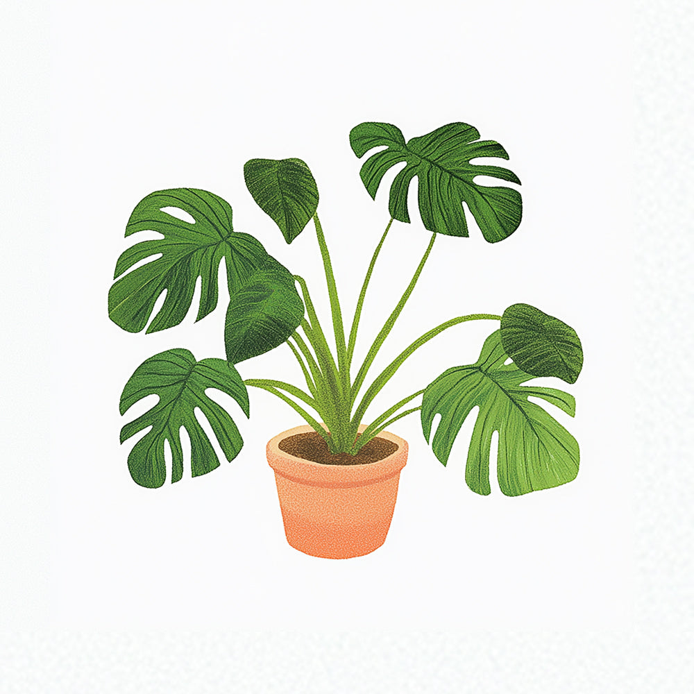Monstera en Pot Mini Peinture par Numéros