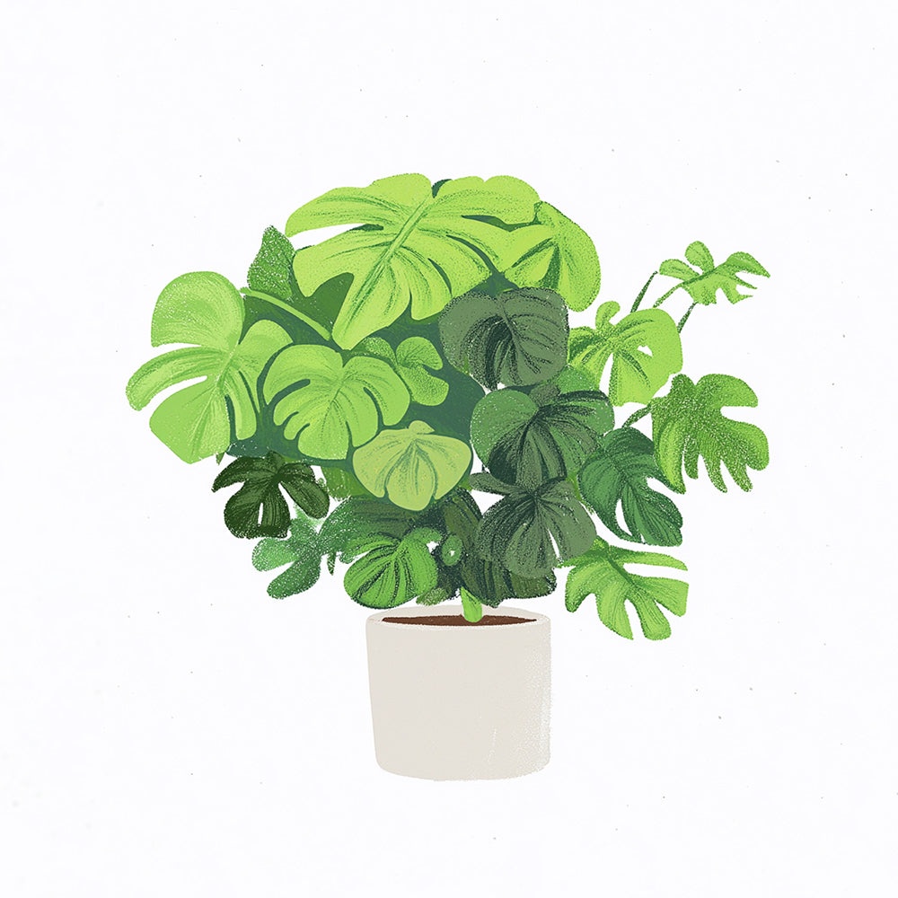 Monstera en Pot Mini Peinture par Numéros