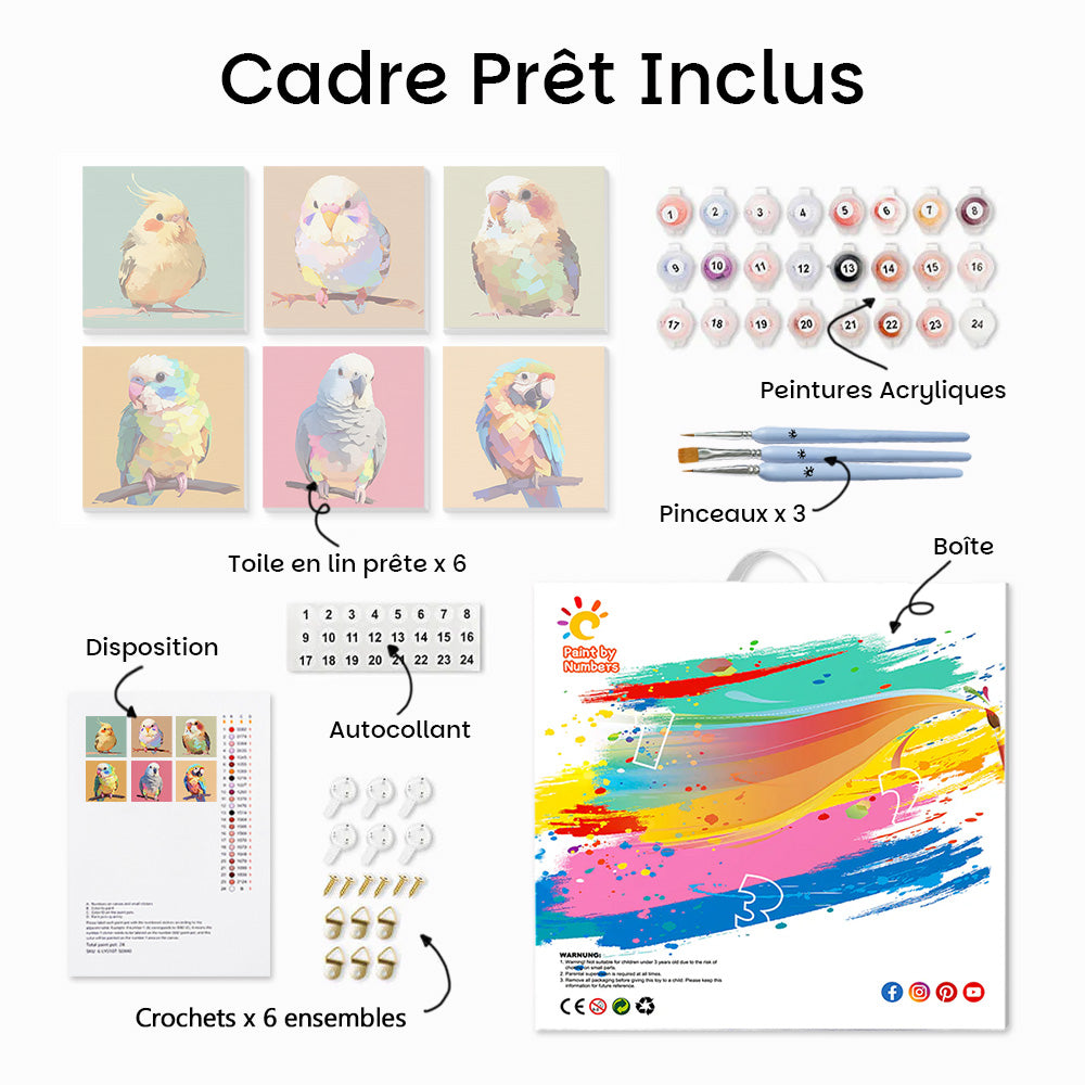 Oiseaux Colorés Mignons 6 Mini Peintures par Numéros