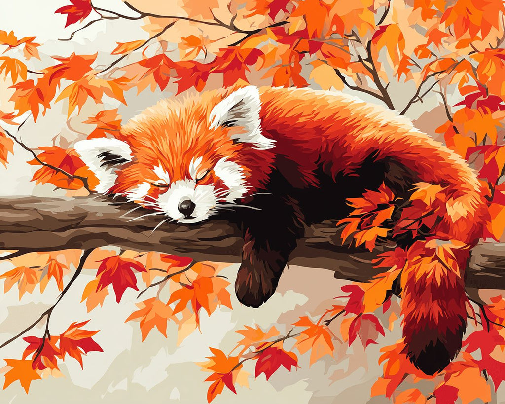 Panda Roux Dormant sur un Érable Rouge Peinture par Numéros